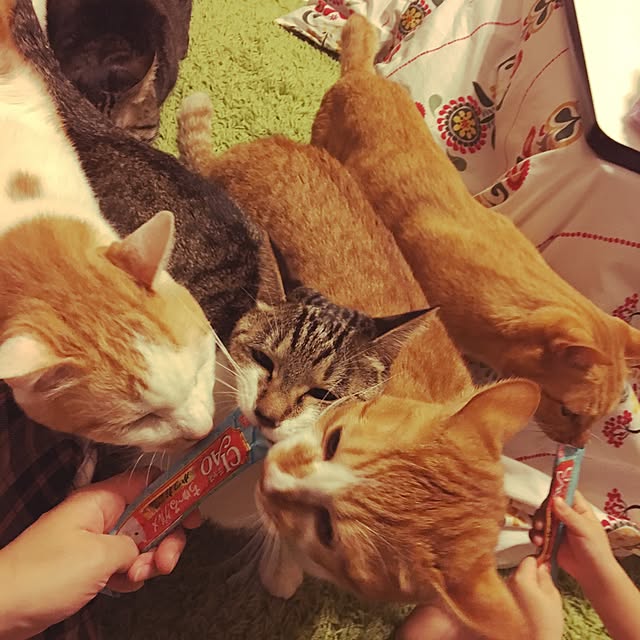 369mamaさんの実例写真