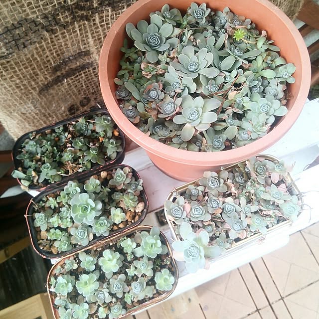 VERANDARJUNさんの実例写真