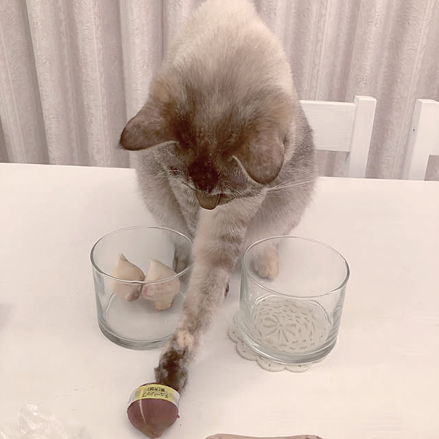 noelさんの実例写真