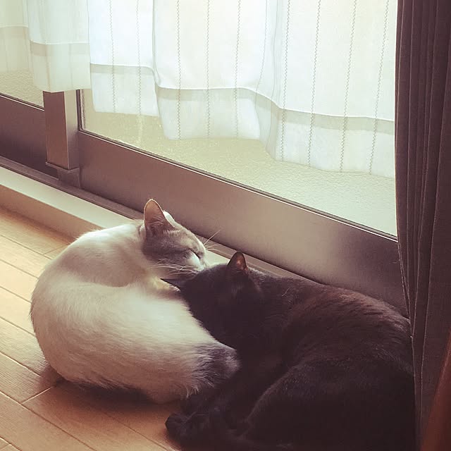 Tomomiさんの実例写真