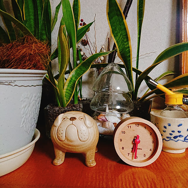 kikiさんの実例写真