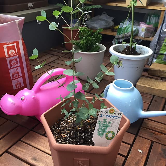 MFO3582さんの実例写真