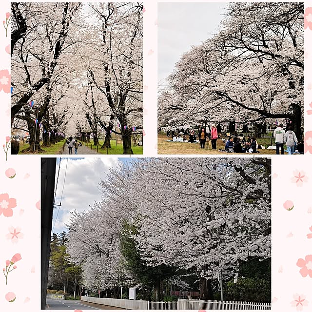 実例写真