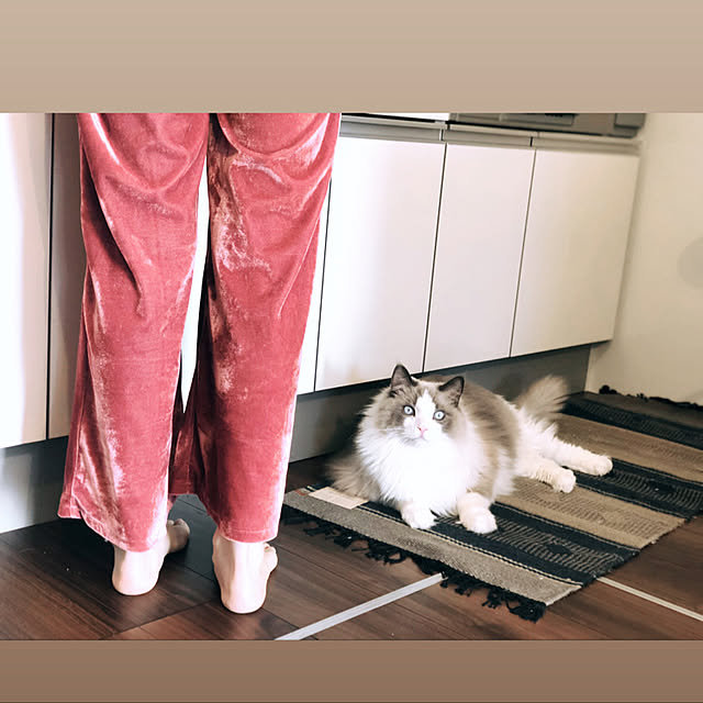 akiraiguchi32さんの部屋