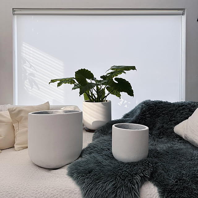 hanahana1444さんの実例写真