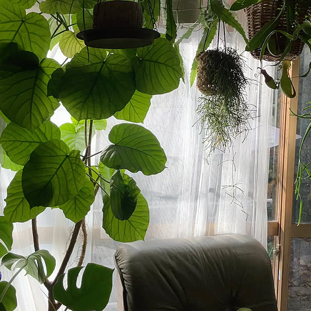 ganchan_0910さんの部屋