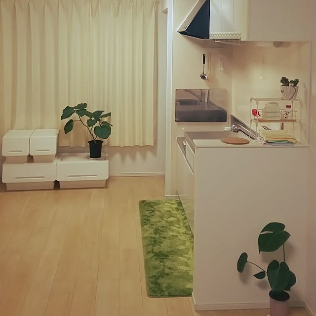 YUSUさんの実例写真