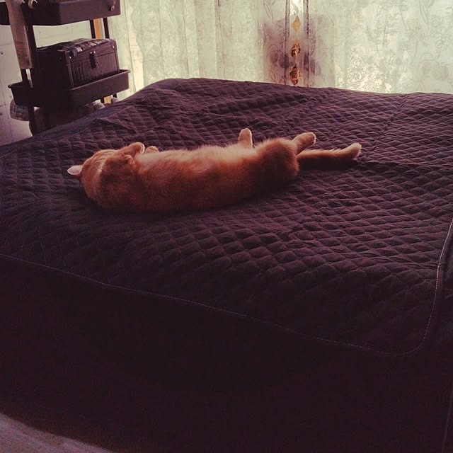 runaさんの実例写真