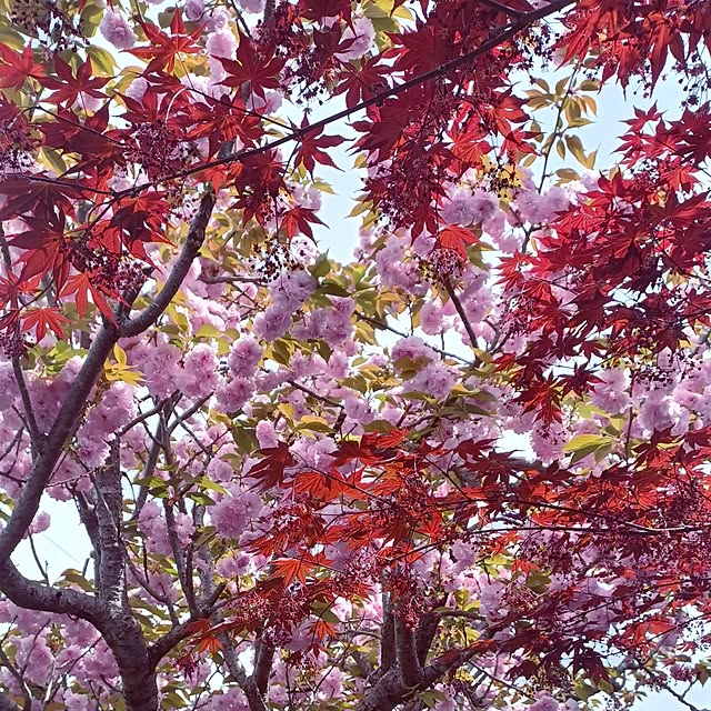 hiro.904さんの実例写真