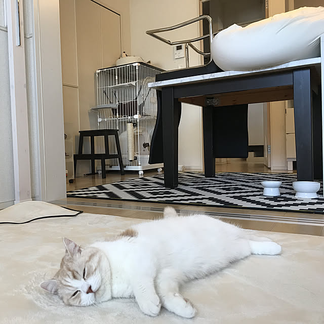 H.Tさんの実例写真