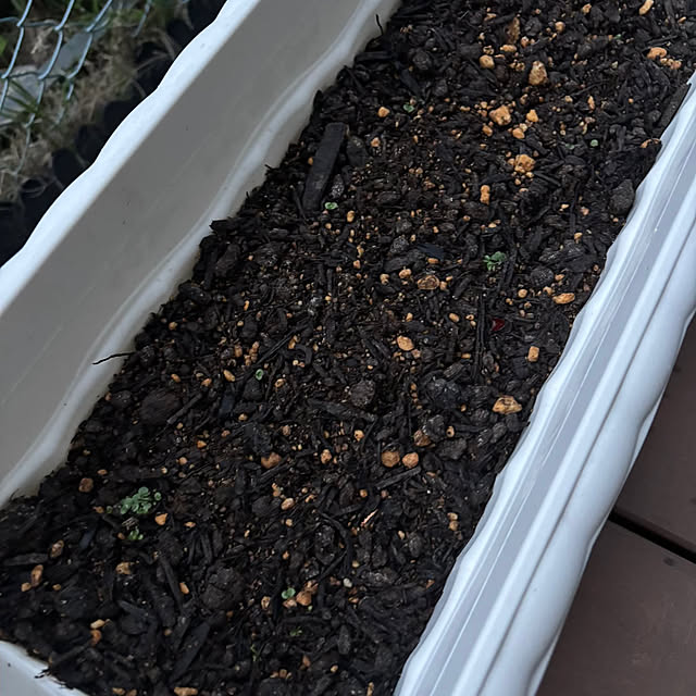 momocchiさんの部屋