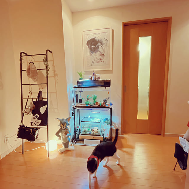 moolさんの部屋
