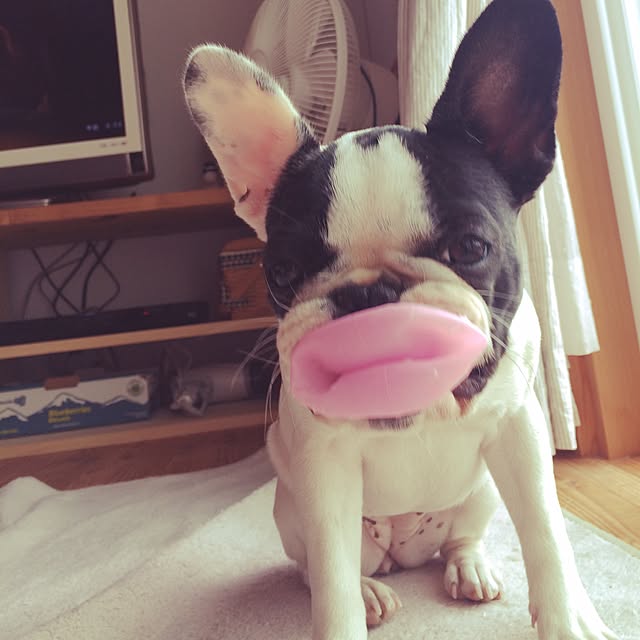 marikoさんの実例写真