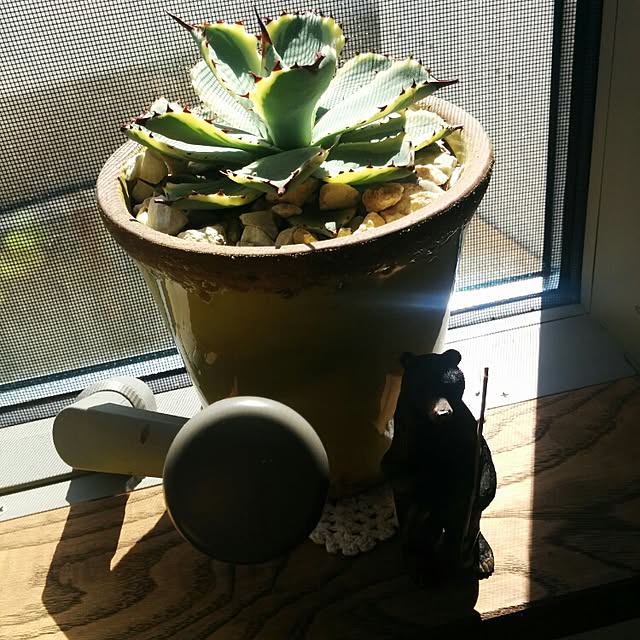 Hanakoさんの実例写真