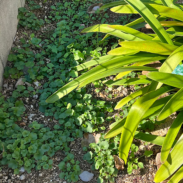 nannoさんの実例写真