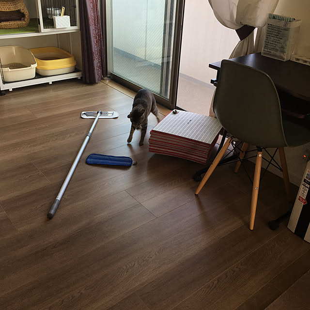 mikomaruさんの実例写真