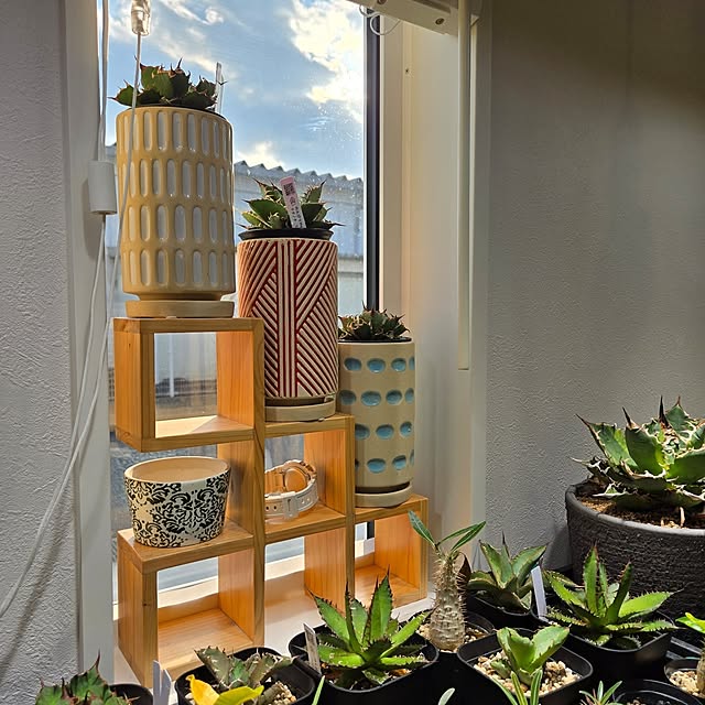 nonbiri_house_さんの実例写真