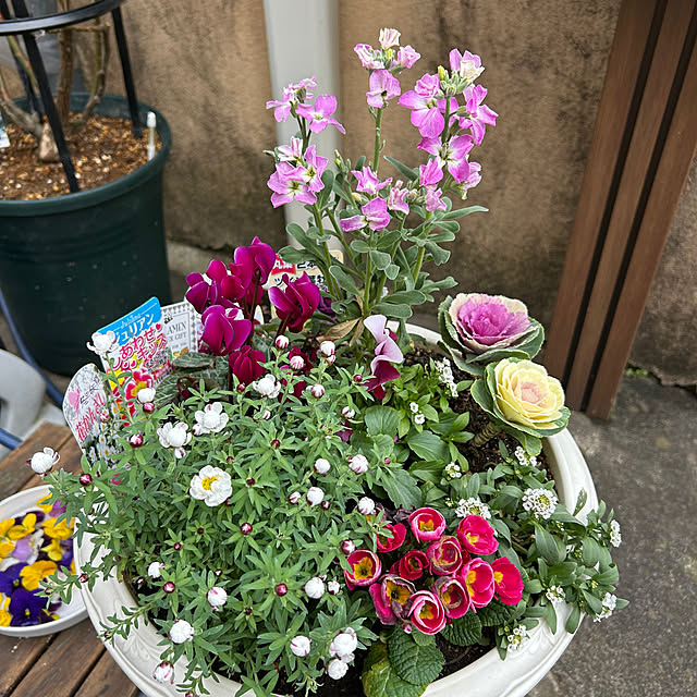 fumikoiさんの実例写真