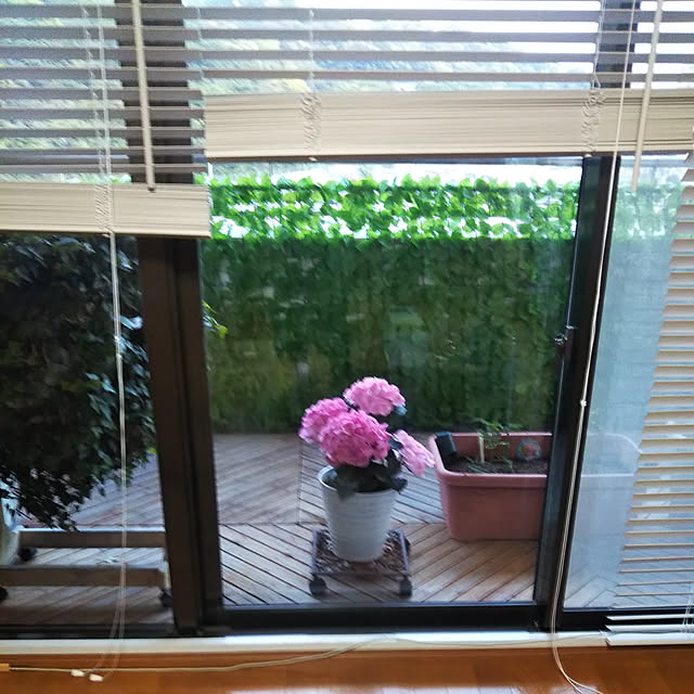 hakata-baさんの実例写真