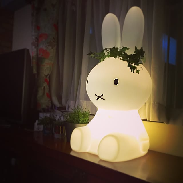 yuccoさんの実例写真