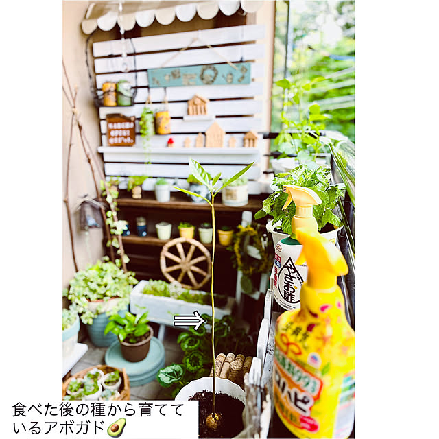 NAOさんの部屋