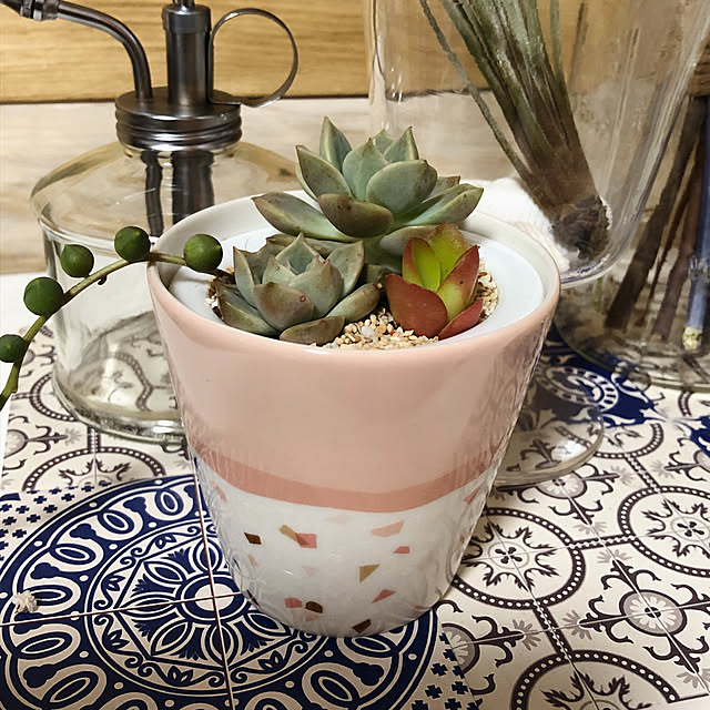 植木鉢/flower pot/テラゾー柄/terrazzo /サンゴ砂...などのインテリア実例 - 2020-04-24 23:14:08