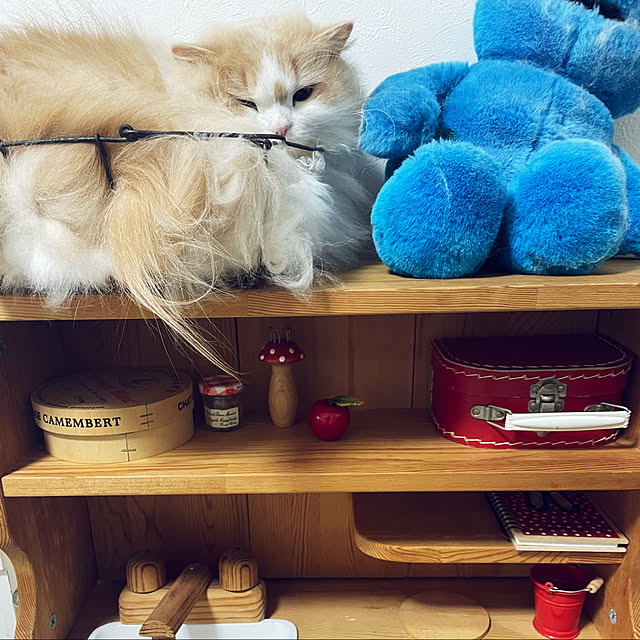 yuuchoさんの実例写真