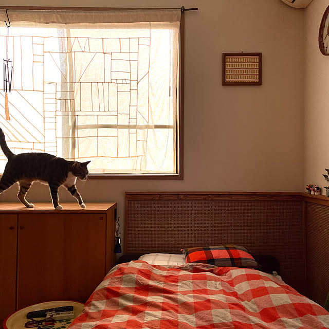 nobikoさんの部屋
