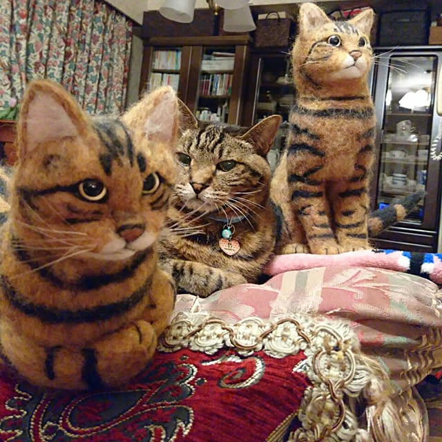 実例写真