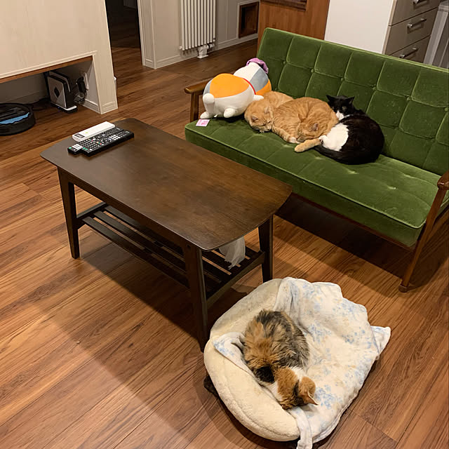 mikeume7さんの実例写真