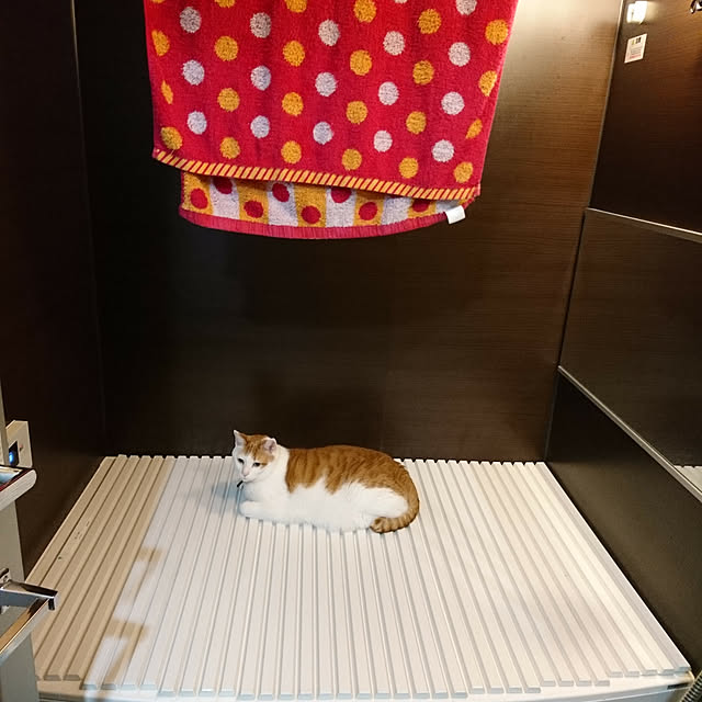 porinさんの実例写真