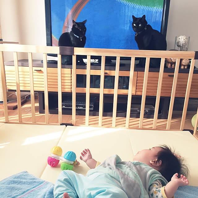yuki0511さんの実例写真