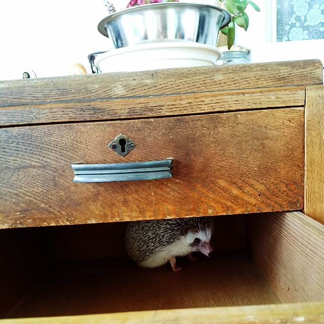 kuruさんの実例写真