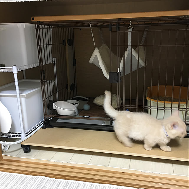 rilakkumamaさんの実例写真