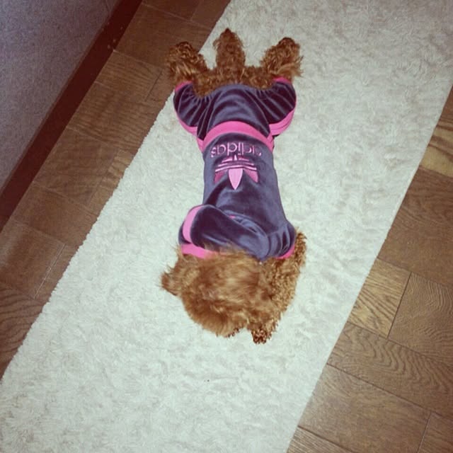 haruさんの実例写真
