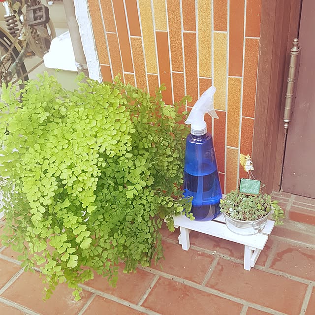 rhuさんの実例写真