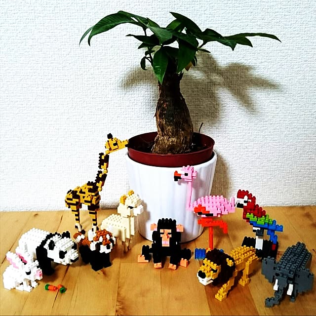 Ponjiroさんの実例写真