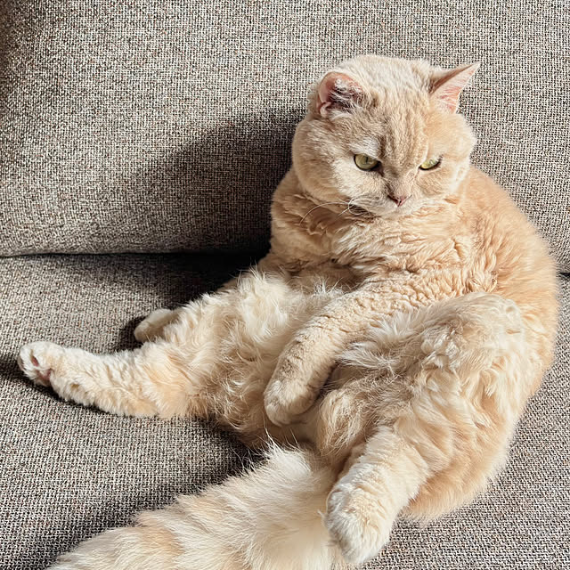 naokoさんの部屋