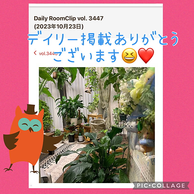 Aqettyさんの実例写真