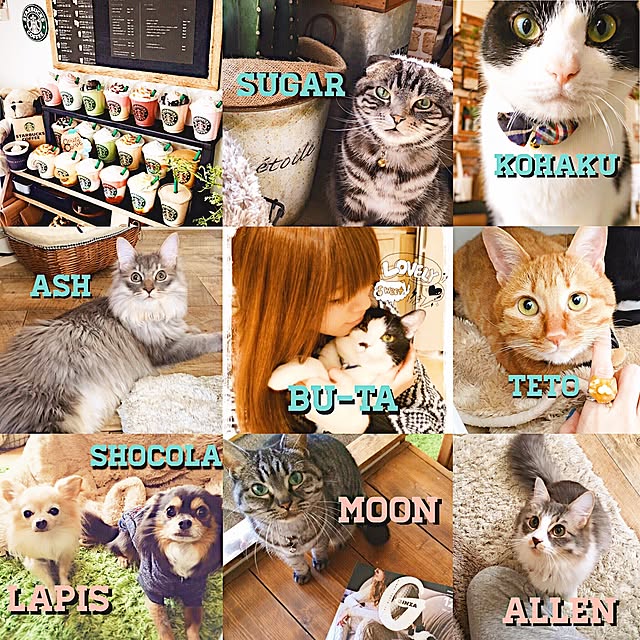 REINA612WORKSさんの実例写真
