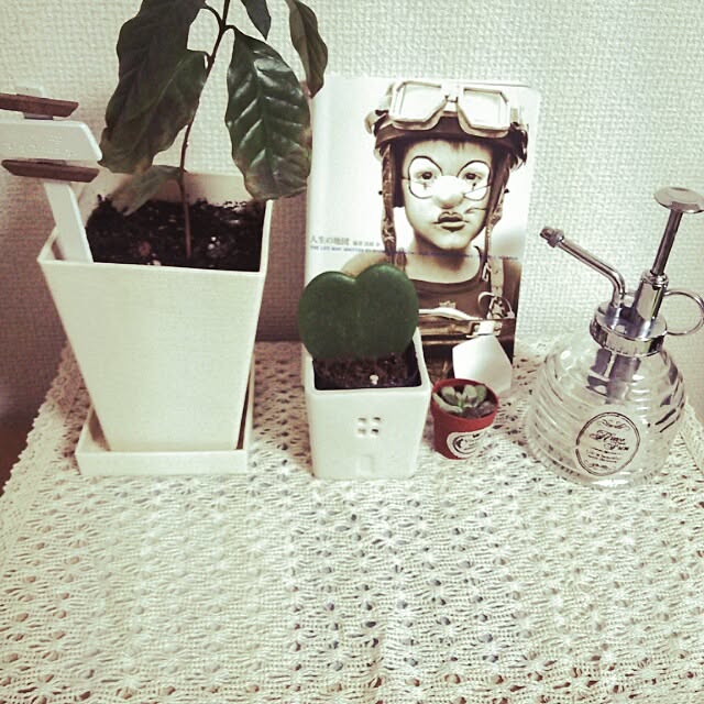 mihoさんの実例写真