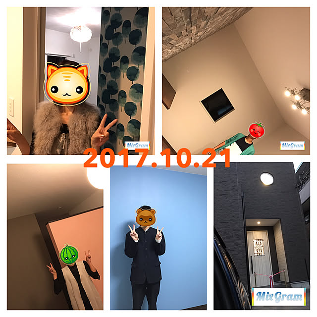 実例写真