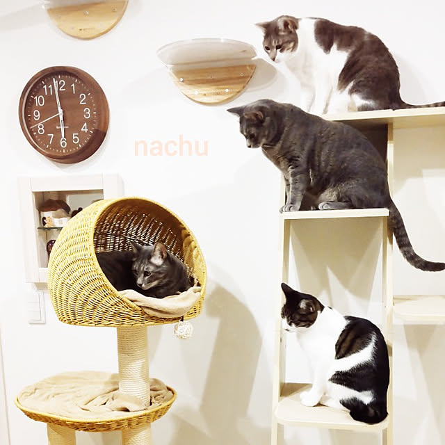 nachuさんの実例写真