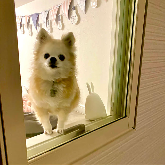 reirさんの実例写真