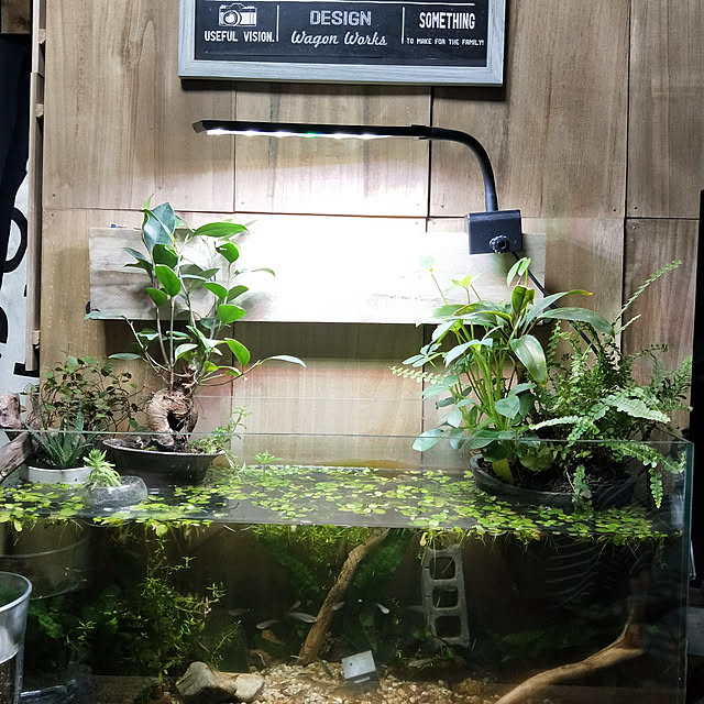 opiopiopiさんの実例写真