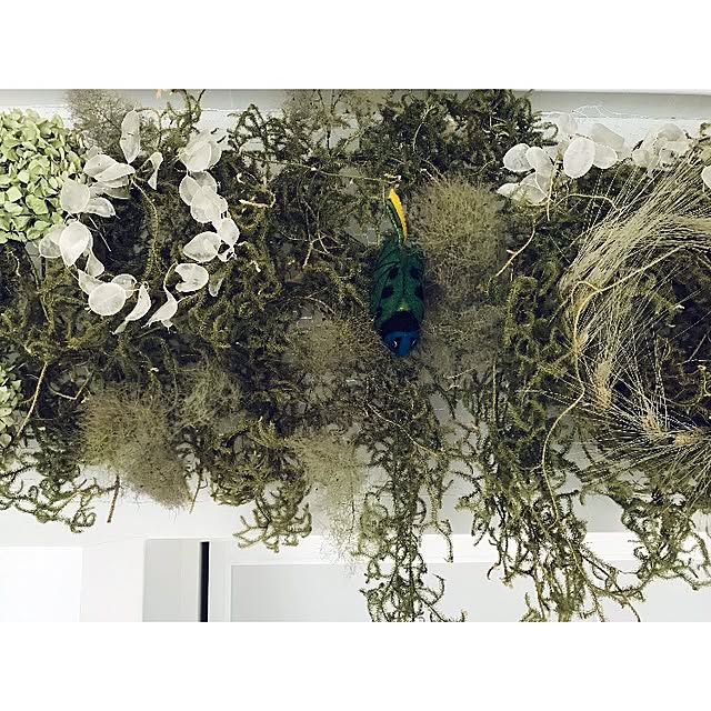 sot1127さんの実例写真
