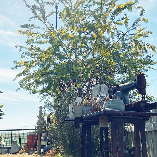 highig16さんの実例写真