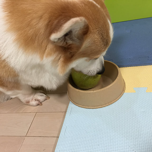 mihoさんの実例写真