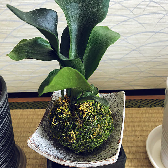 hanachanさんの部屋