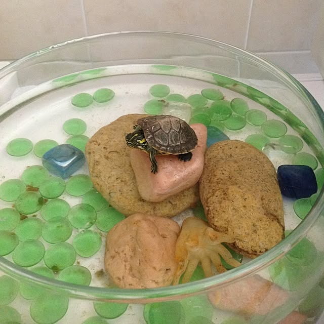 部屋全体のインテリア実例 - 2013-05-23 16:45:08